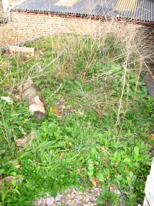 1 before the haircut