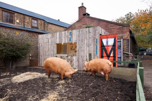 Magnificent_container-North-Exterior-with-Pigs